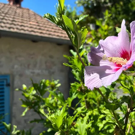 Stone House, Casa de Férias