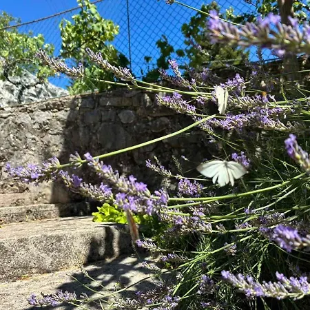 Stone House,